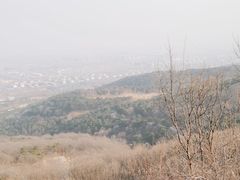 -北京西山国家森林公园