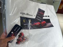 -上海保利玛莎拉蒂和阿尔法罗密欧(华翔路店)