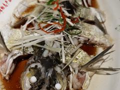 -丹江渔村(望京店)