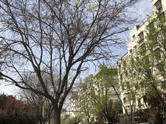 -唐城墙遗址公园
