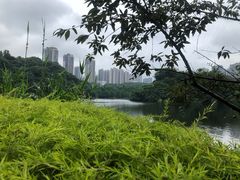 -重庆彩云湖湿地公园