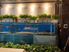 水产区-惠丰堂饭庄·烤鸭·京味菜(西北旺·唐家岭店)
