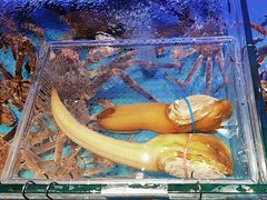 -阿伟海鲜楼·福建菜(延寿店)