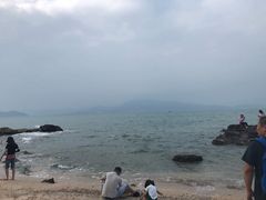 -杨梅坑
