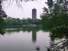 -北大学一食堂