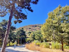 -北京西山国家森林公园