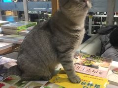 -小时光咖啡馆(开森度假森林店)
