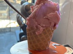 -野人牧坊Gelato(天津南开大悦城店)