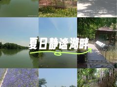 -同里国家湿地公园
