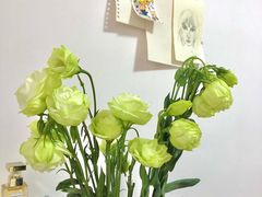 -大自然花鸟鱼虫市场