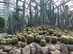 -南山植物园