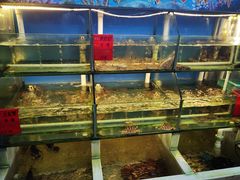 水产区-阿弟特色海鲜餐厅·大排档(平潭店)