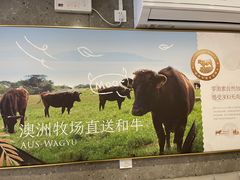-CHILL Pho澳洲牛肉越南粉(佛山顺德万象汇店)
