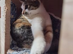 -原乡芦茨咖啡
