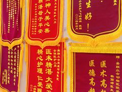 -美联众合爱康动物医院•复杂内科•肿瘤科•牙科•腔镜诊疗中心