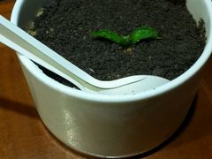-院落创意菜