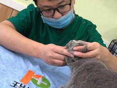 -瑞鹏宠物医院·猫科·宠保定点(梅溪湖分院)