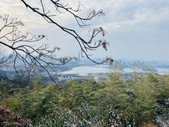 -紫金山索道-售票处