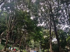 -龙头寺公园