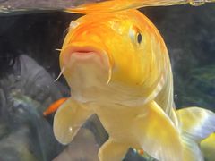 -上海海洋水族馆