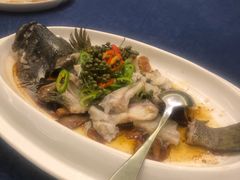 藤椒东星斑-绿岛国际酒店·海鲜酒楼(八七路店)