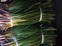 -海吉星国际农产品物流管理有限公司