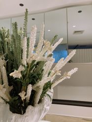 -姜美堂·蒸姜除湿の纤体美颜馆