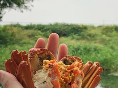 -欢乐蟹庄·精品农家乐(阳澄湖莲花岛店)