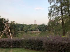 -四海公园(南山区)