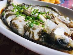 钱湖四宝（朋鱼）-晓琦农家菜馆·地道农家菜