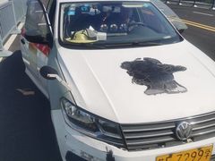 -大胖虎驾考驾校(郭巷训练场)