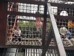 -中国福利会少年宫