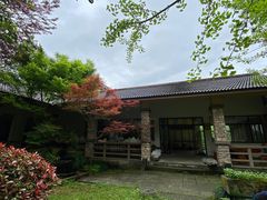 -千岛湖东南湖区