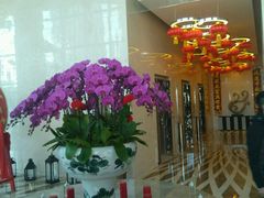 -连云港苏宁索菲特酒店
