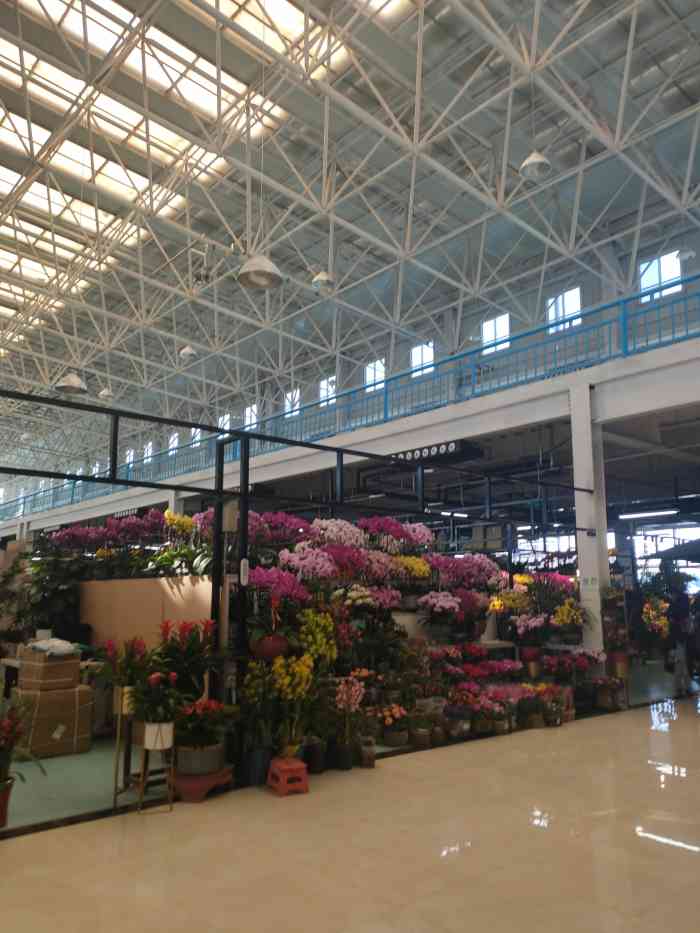 蟹岛国际花卉-"蟹岛里新开业的花卉市场,里面很宽敞,环境.