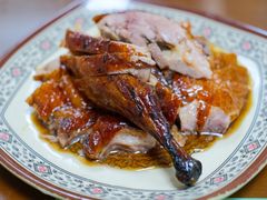 烧鸭-聂记粤菜馆(鼓西路店)