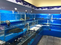 -大商超市(银岛店)