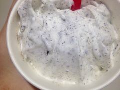 奥利奥暴风雪-DQ·蛋糕·冰淇淋(湖景东路店)