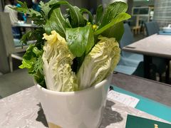 蔬菜拼盘-百年果林椰子鸡(益田假日里店)