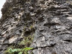 -鹿院坪生态旅游景区