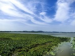 -东湖落雁景区
