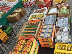 -大连果菜批发市场