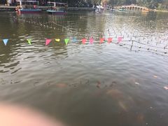 -北湖公园