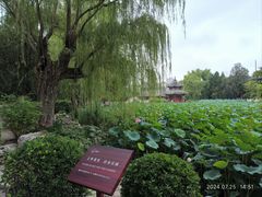 -莲池书院博物馆