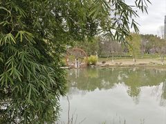 -洋湖国家湿地公园
