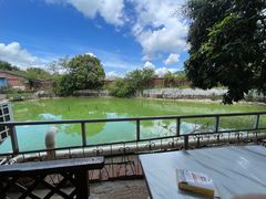 -农家小院土菜馆(斩坑桥店)