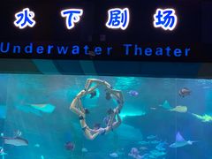 -泉城欧乐堡海洋极地世界