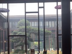 -上海崇明金茂凯悦酒店