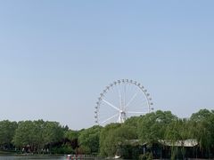 -石家庄市植物园
