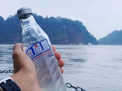 -小杨翘脚牛肉
